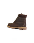 Timberland 6 Inch Premium Waterproof Boots Brown