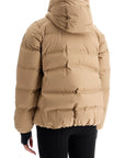 Moncler Grenoble - Suisses Ski Down Jacket